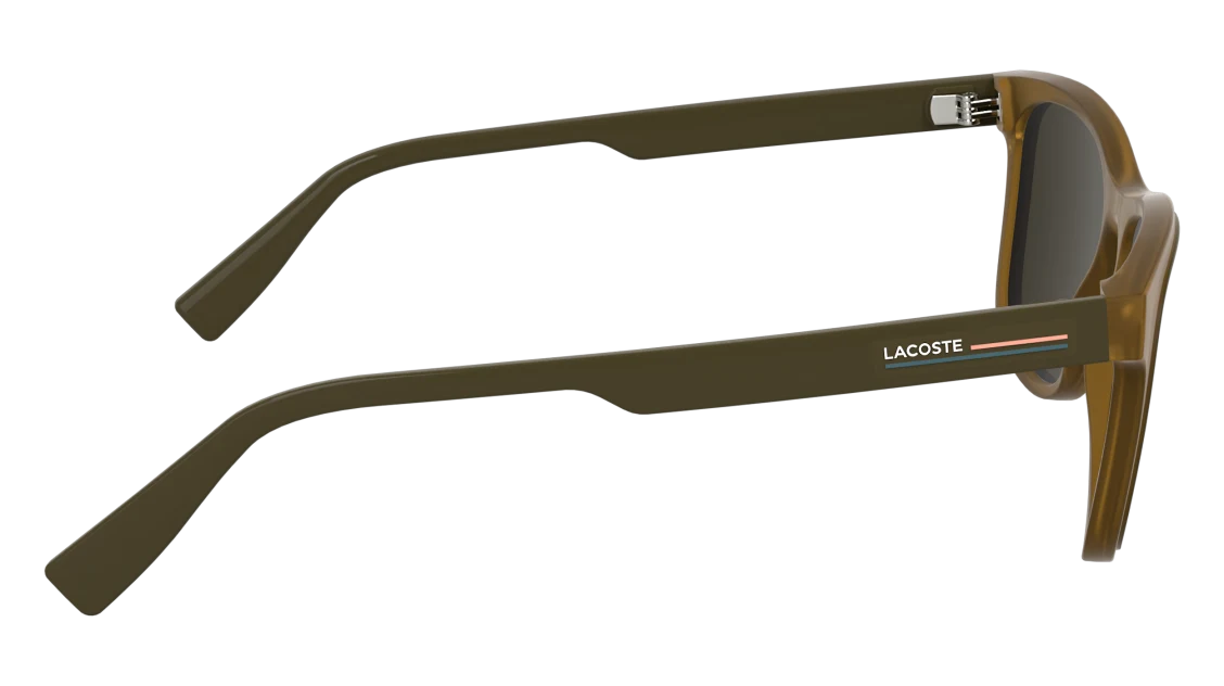 L6054S