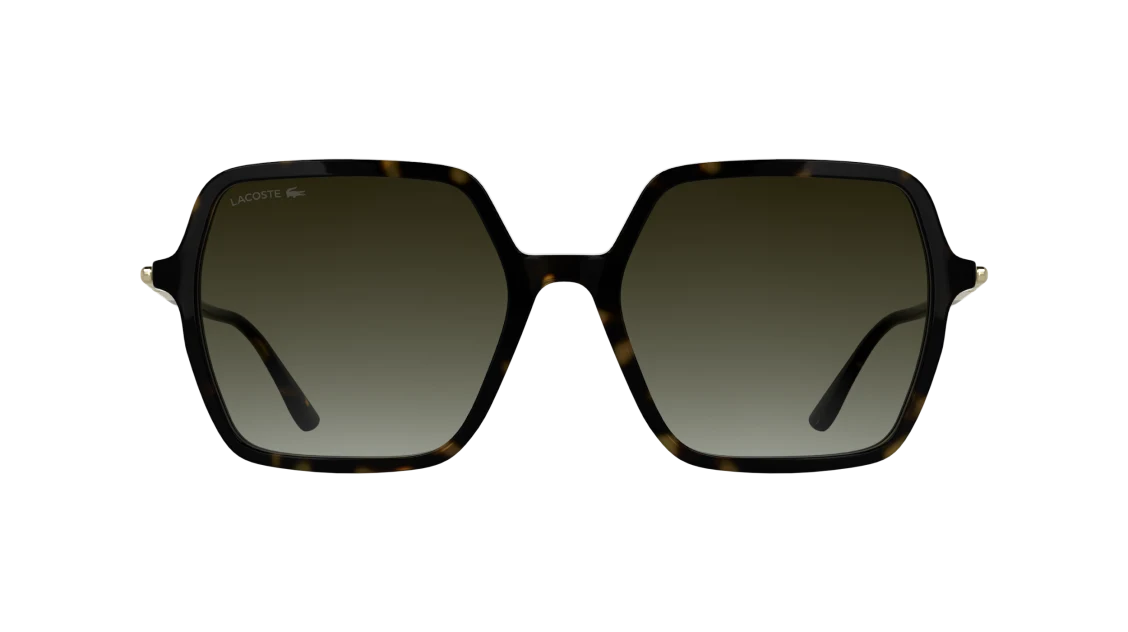 L6079S