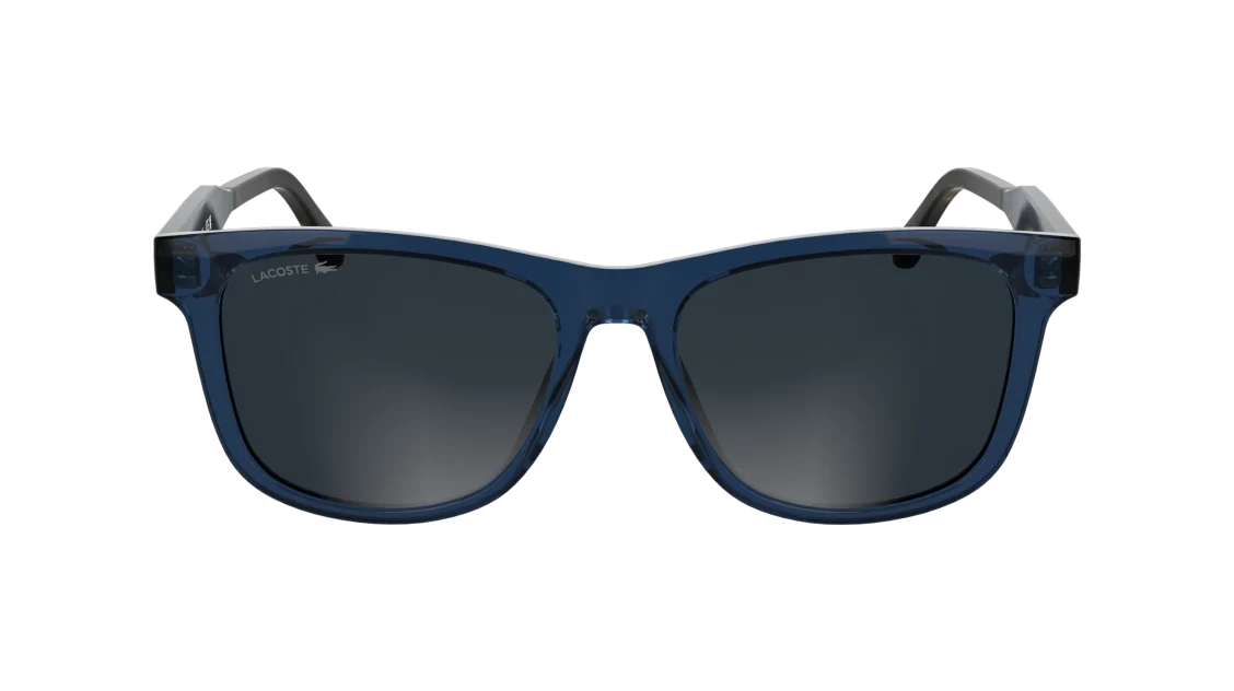 L6060S