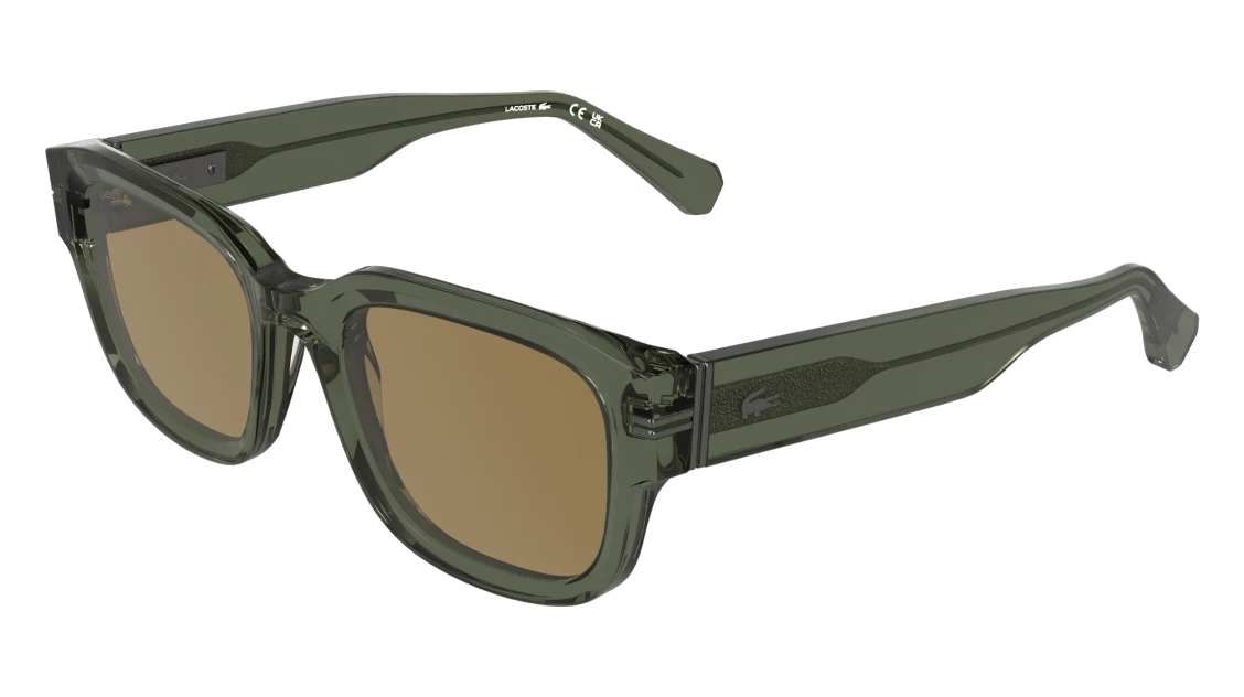L6093S
