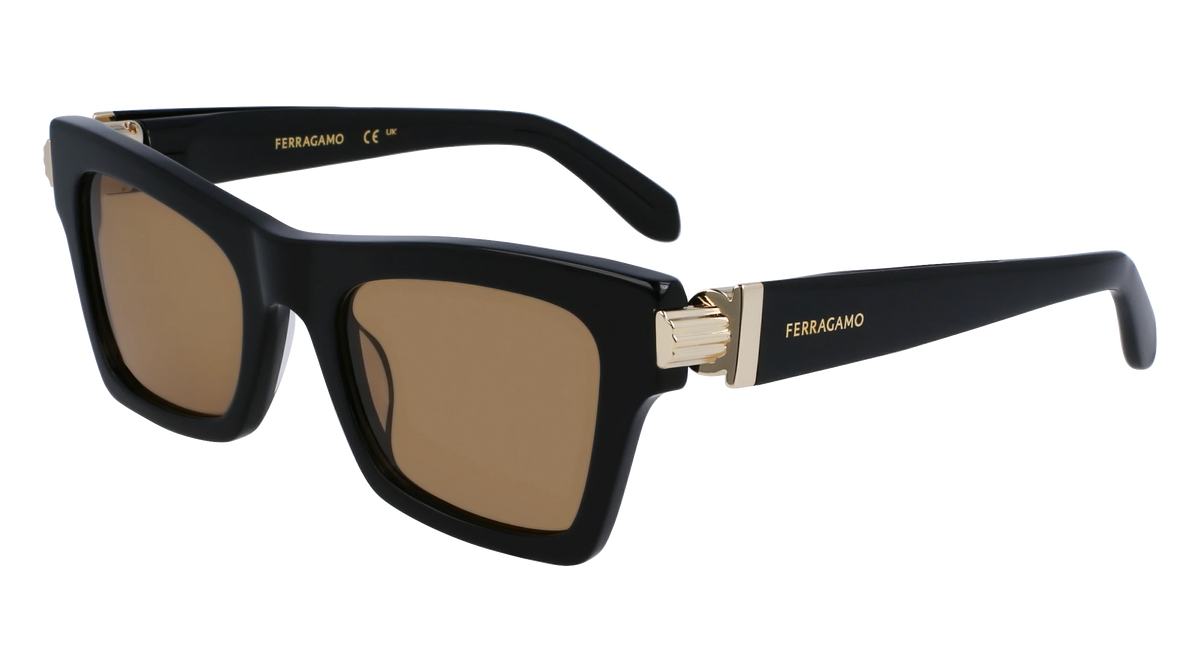 Ferragamo SF2013S Sunglasses | Select Eyewear display picture 2