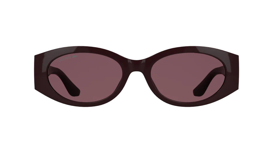 L6109S