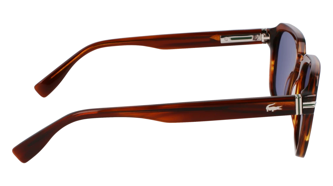 L6046S N