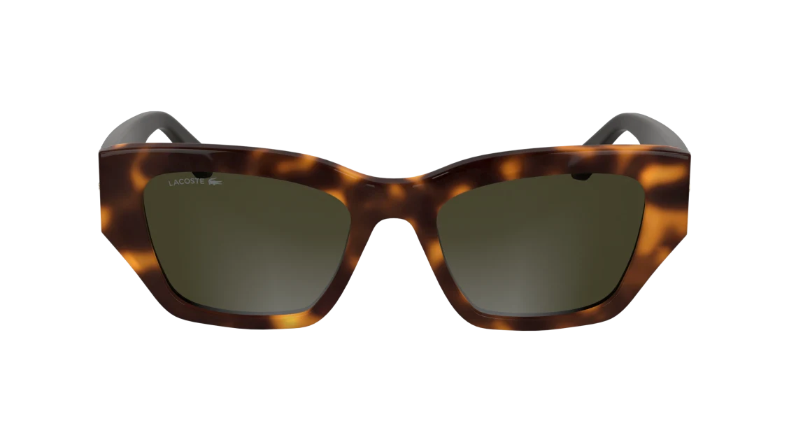 L6053S