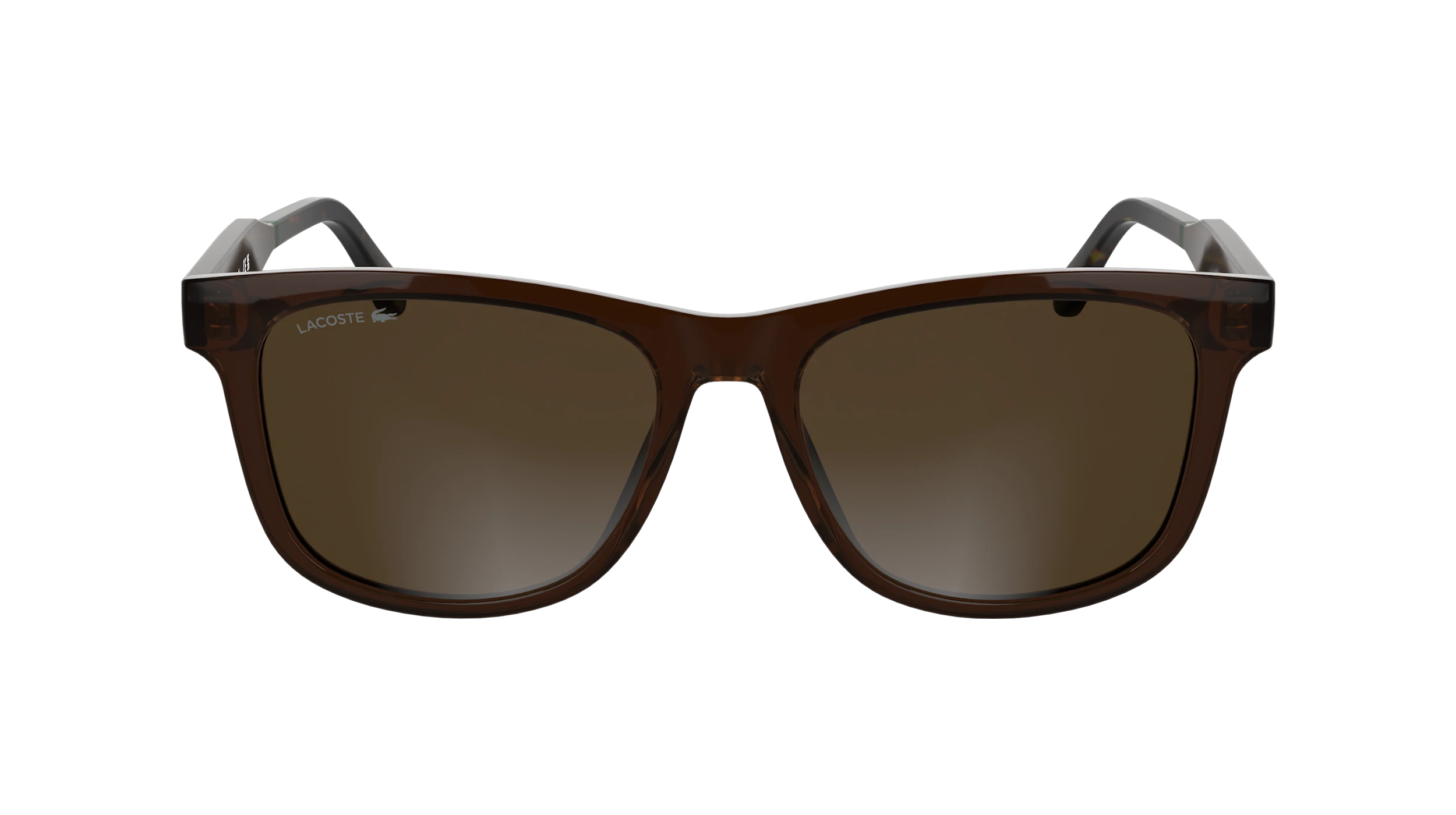 L6060S