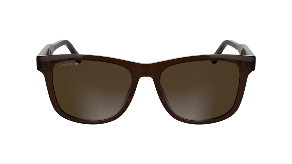 L6060S
