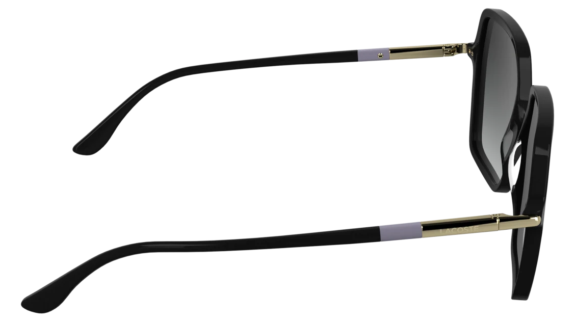 L6079S