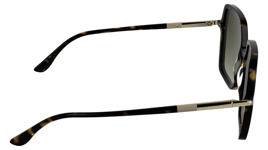 L6079S