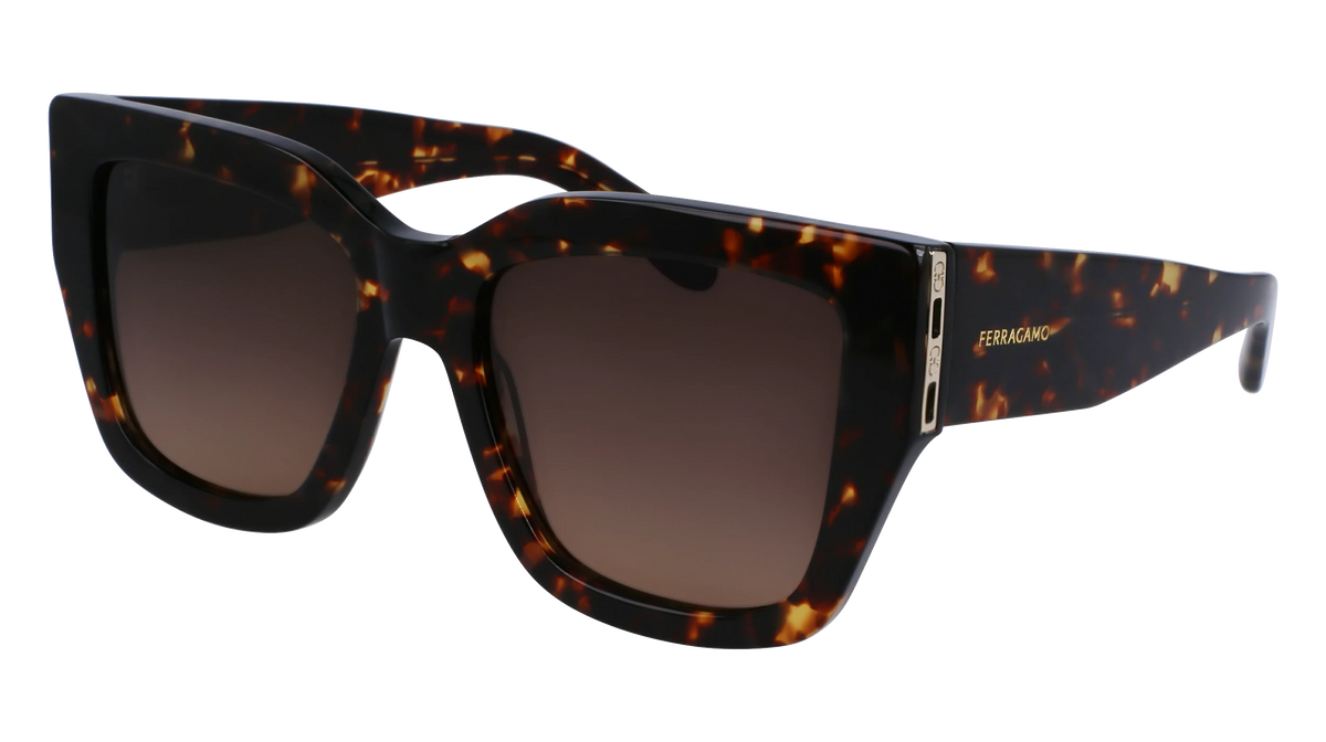 Salvatore Ferragamo SF1104S Sunglasses | Salvatore Ferragamo SF1104S 001 Sunglasses Women main image 4