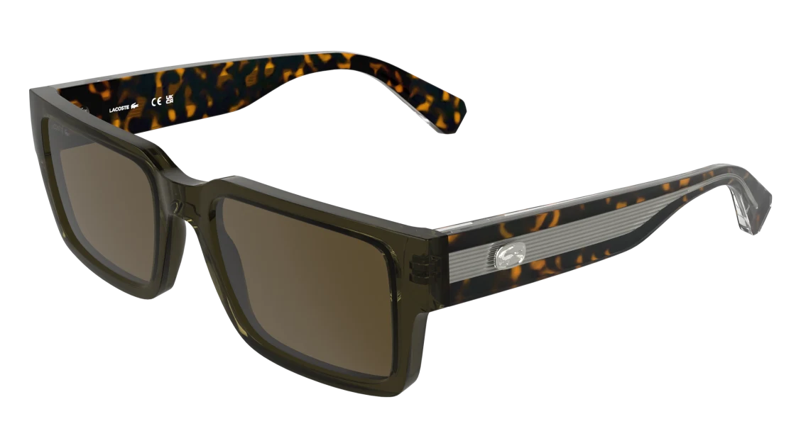 L6089S