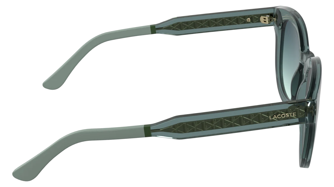 L6070S
