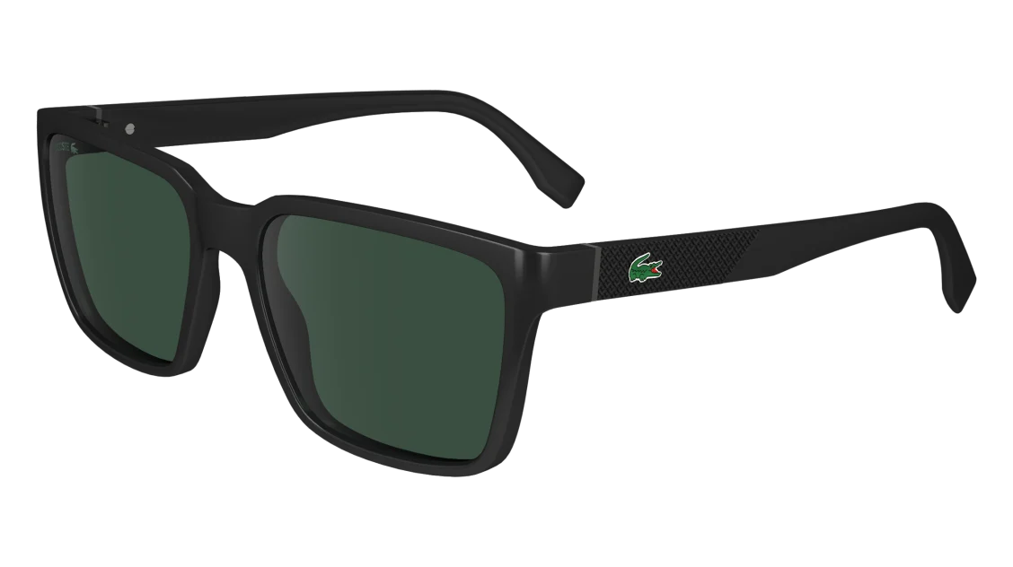 L6011S N