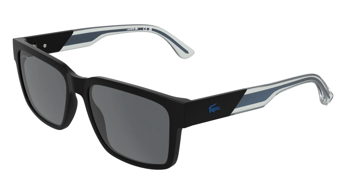 L6104S