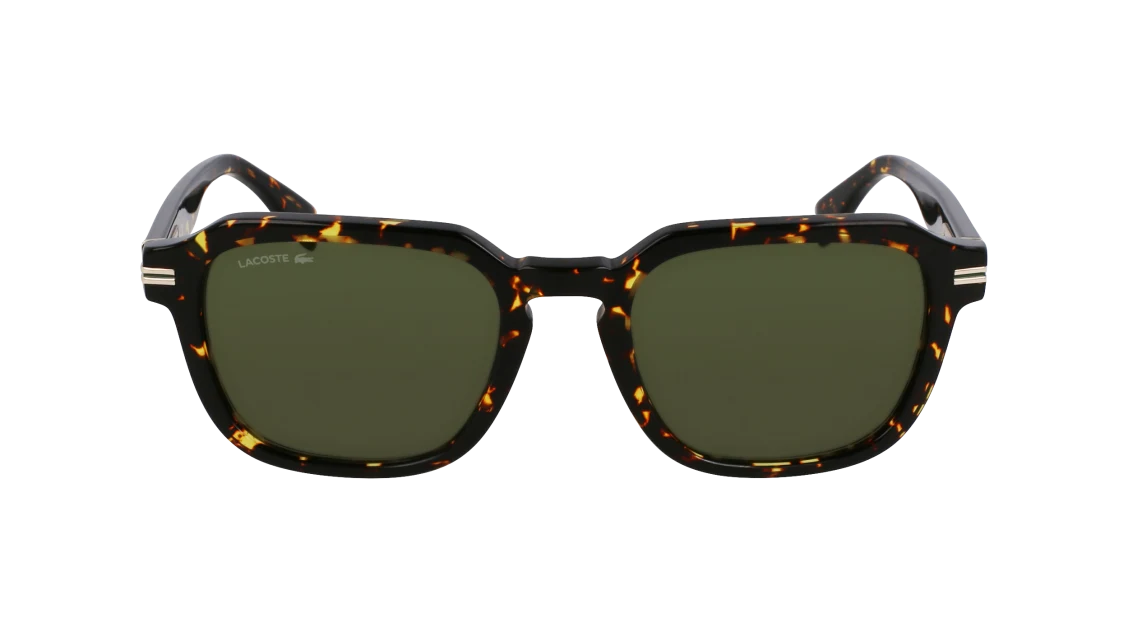 L6046S N