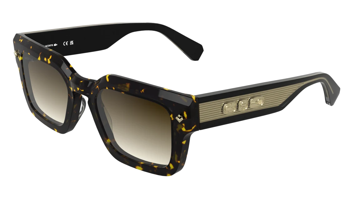 L6071S