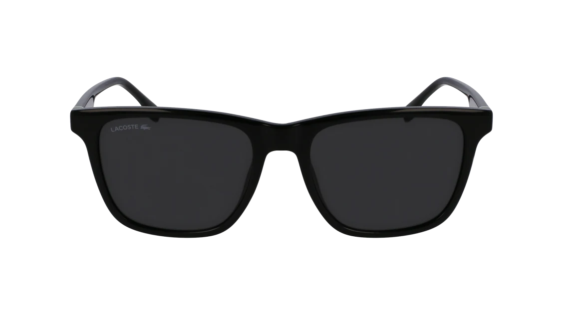 L6041S N