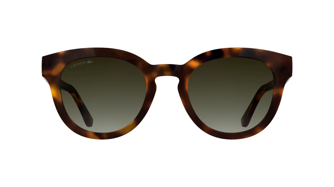 L6070S