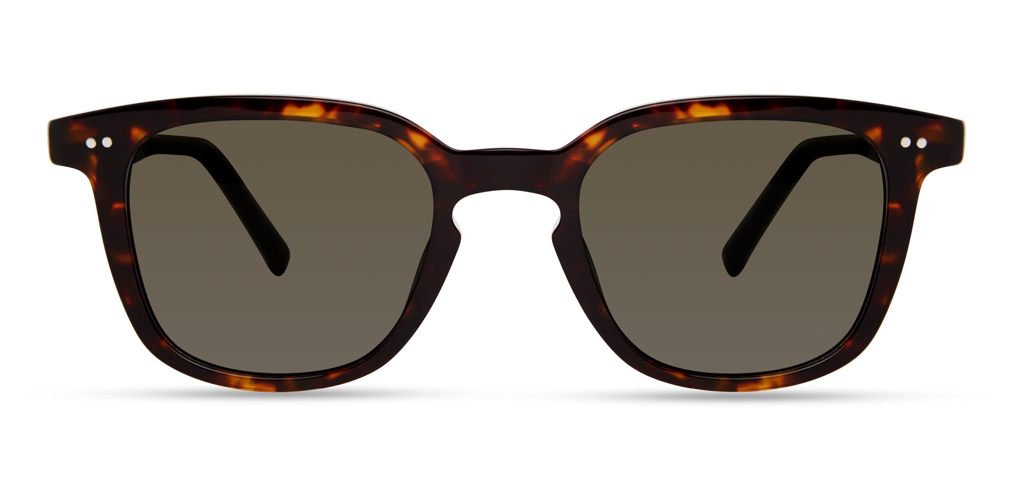 MODO 800 Sunglasses | Select Eyewear