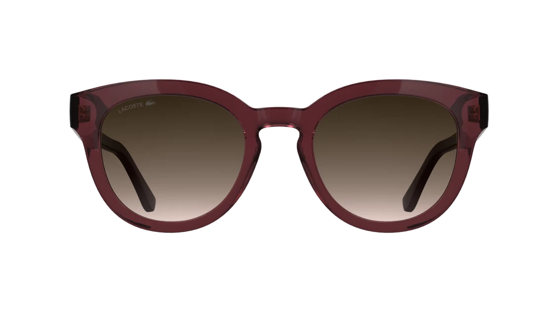 L6070S