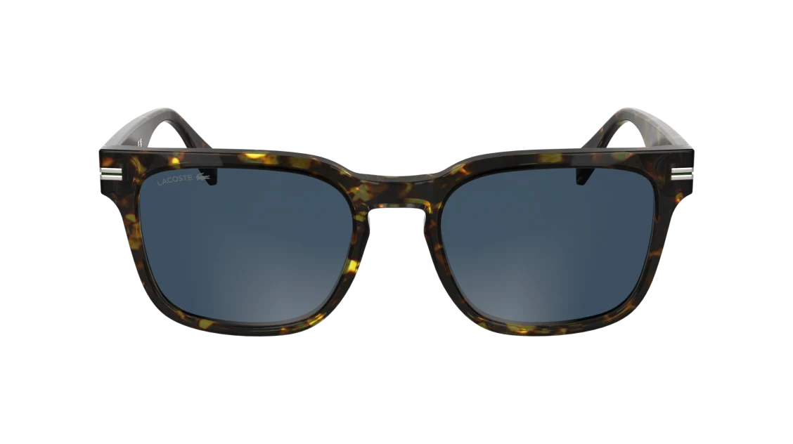 L6065S