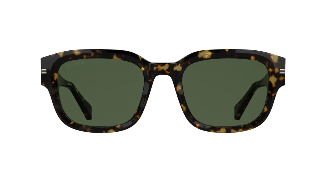 L6093S