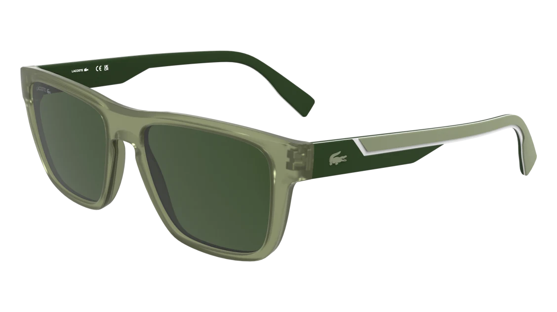 L6058S