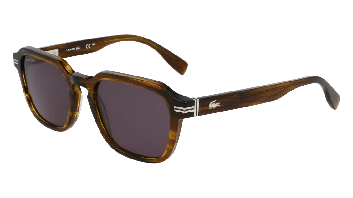 L6046S N