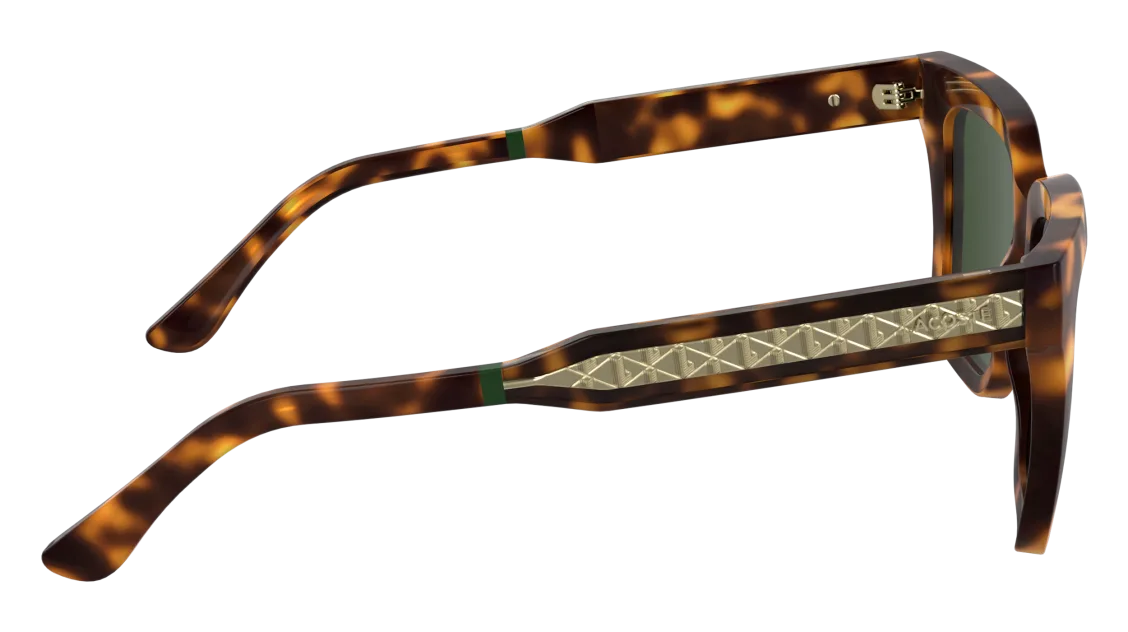 L6063S