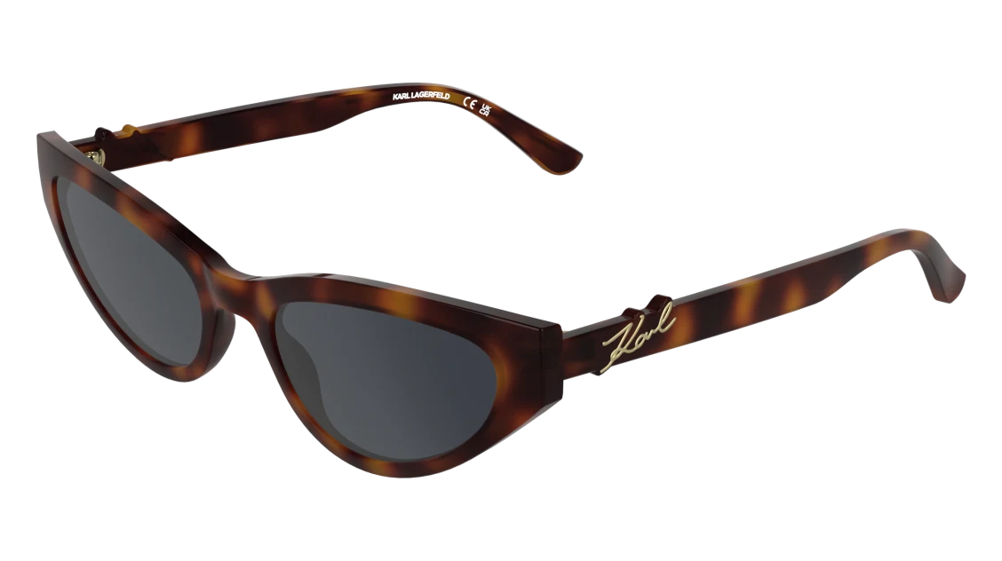 KL6248S