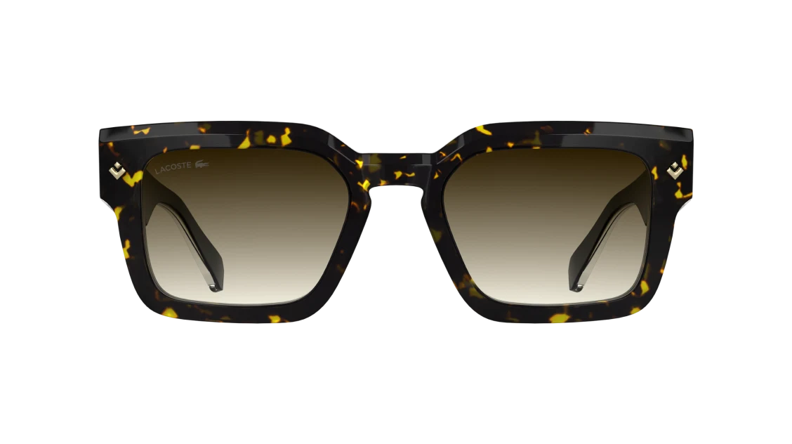 L6071S