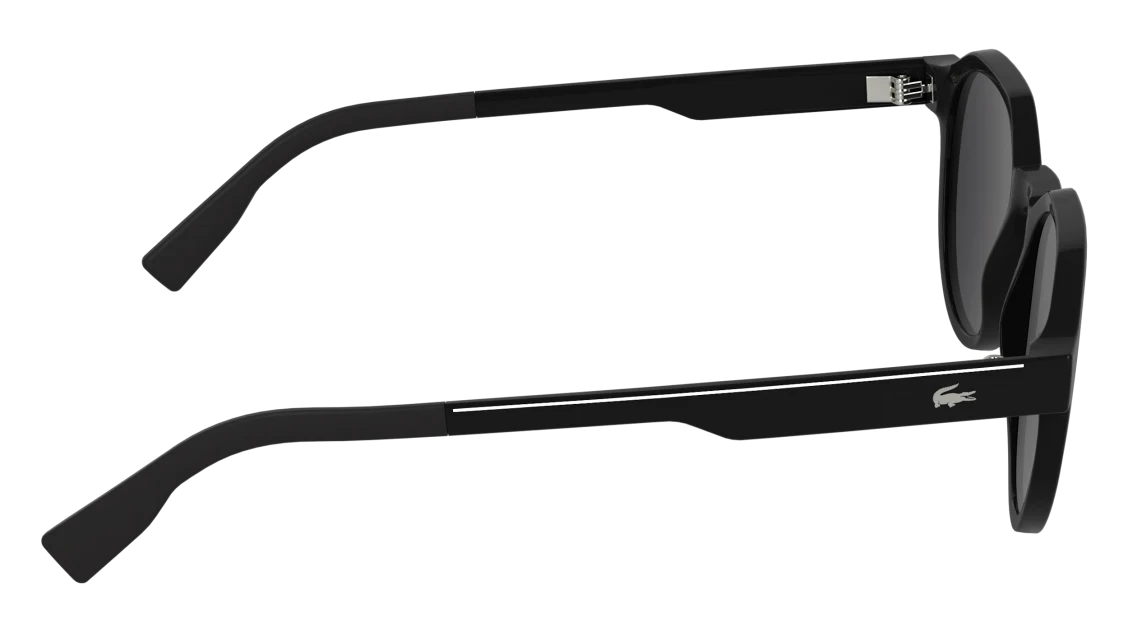 L6087S