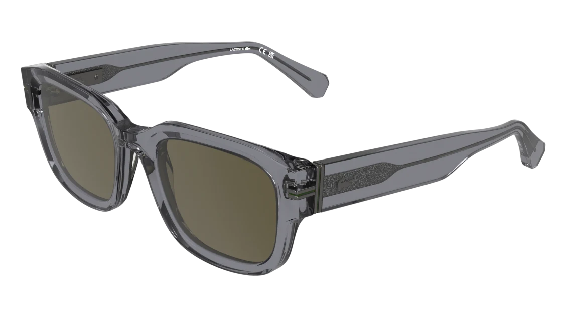 L6093S
