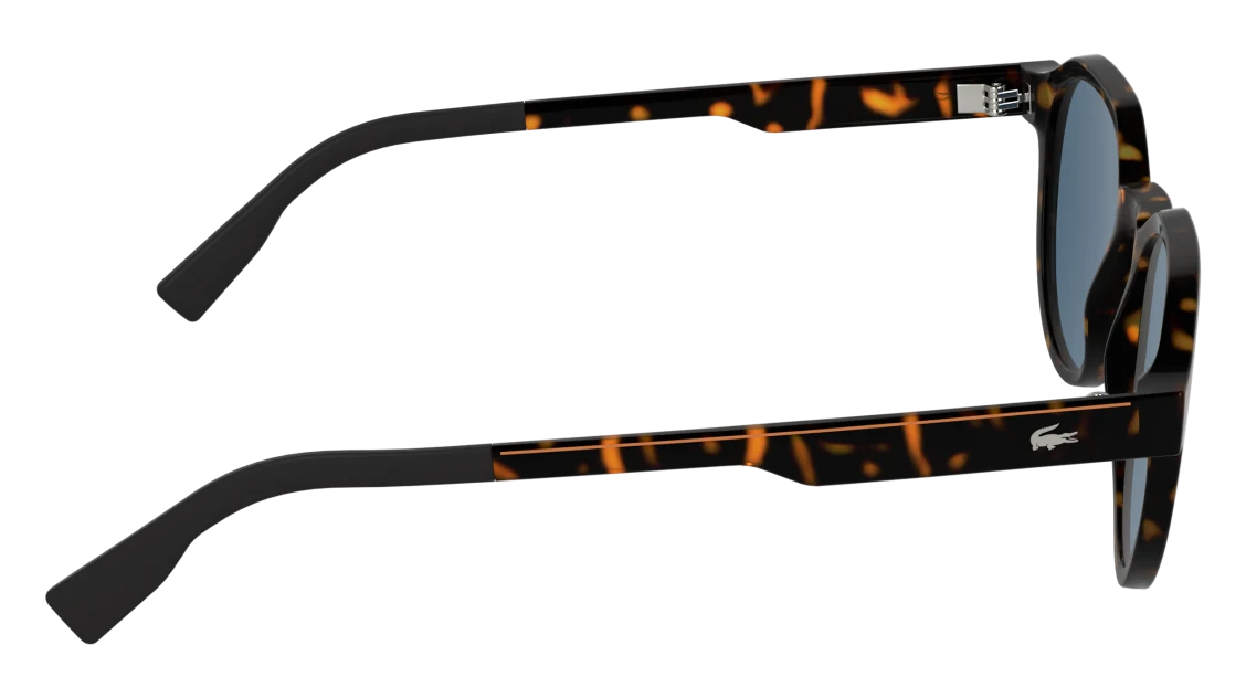 L6087S