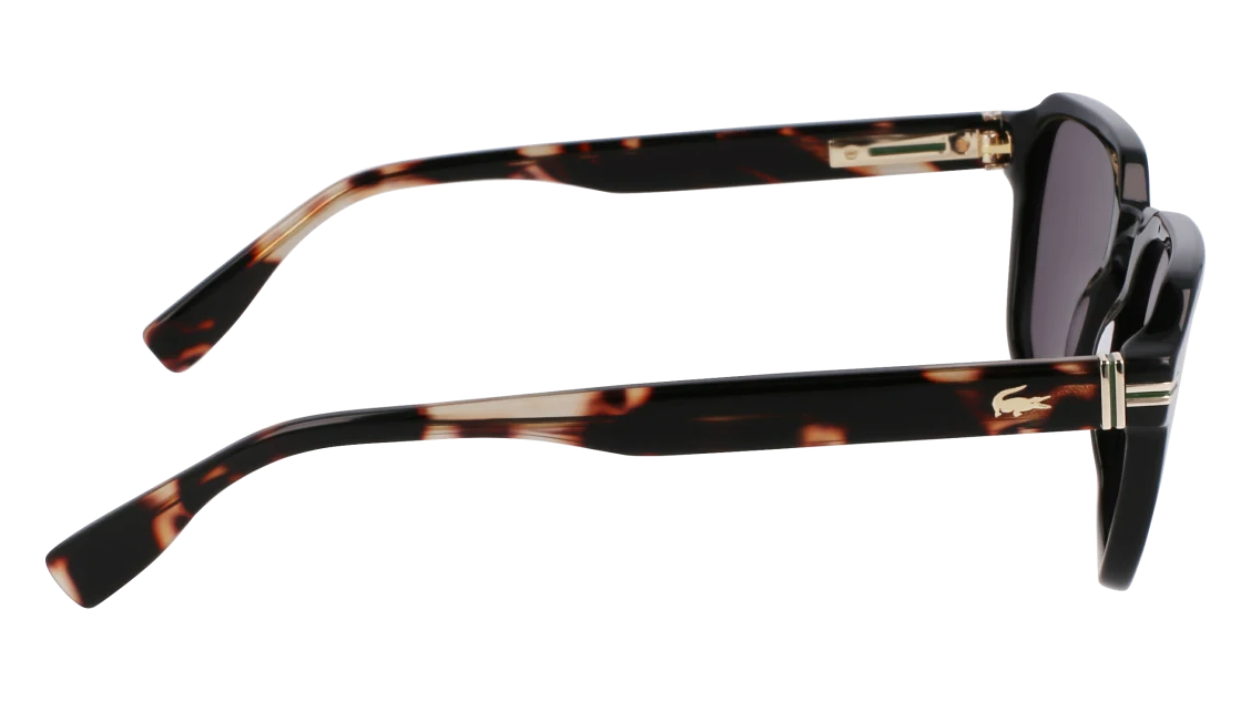 L6046S N