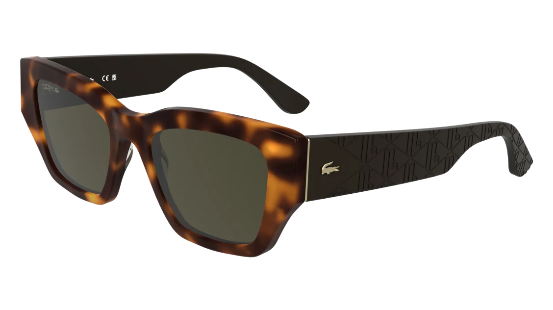 L6053S