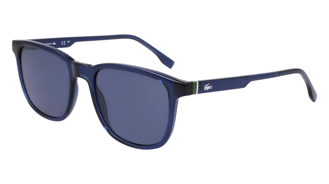 L6029S
