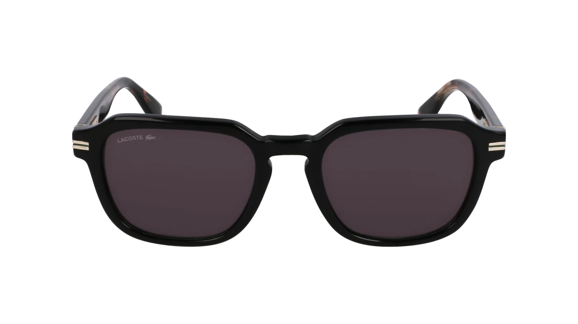 L6046S N
