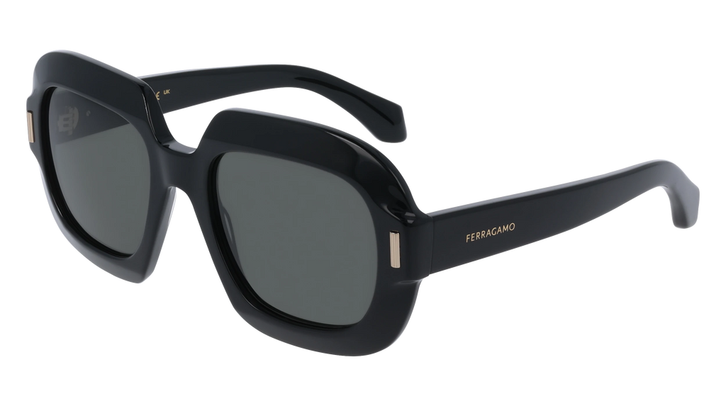Salvatore Ferragamo サングラス アイウェア 1020 FERRAGAMO - Salvatore Ferragamo サングラス アイウェア 1020の通販