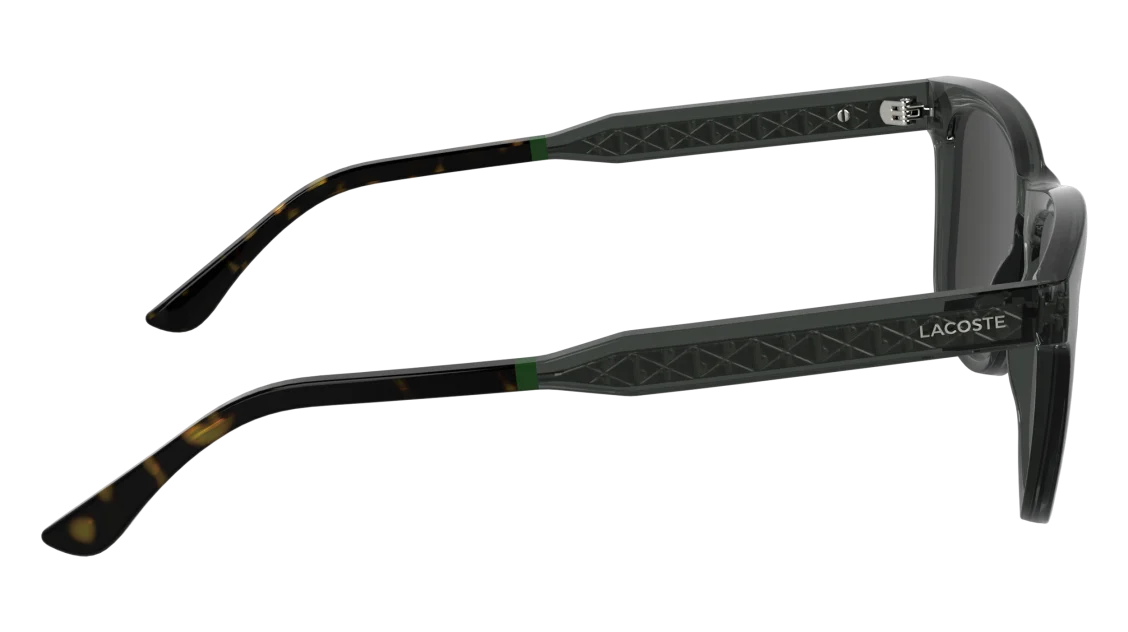 L6060S