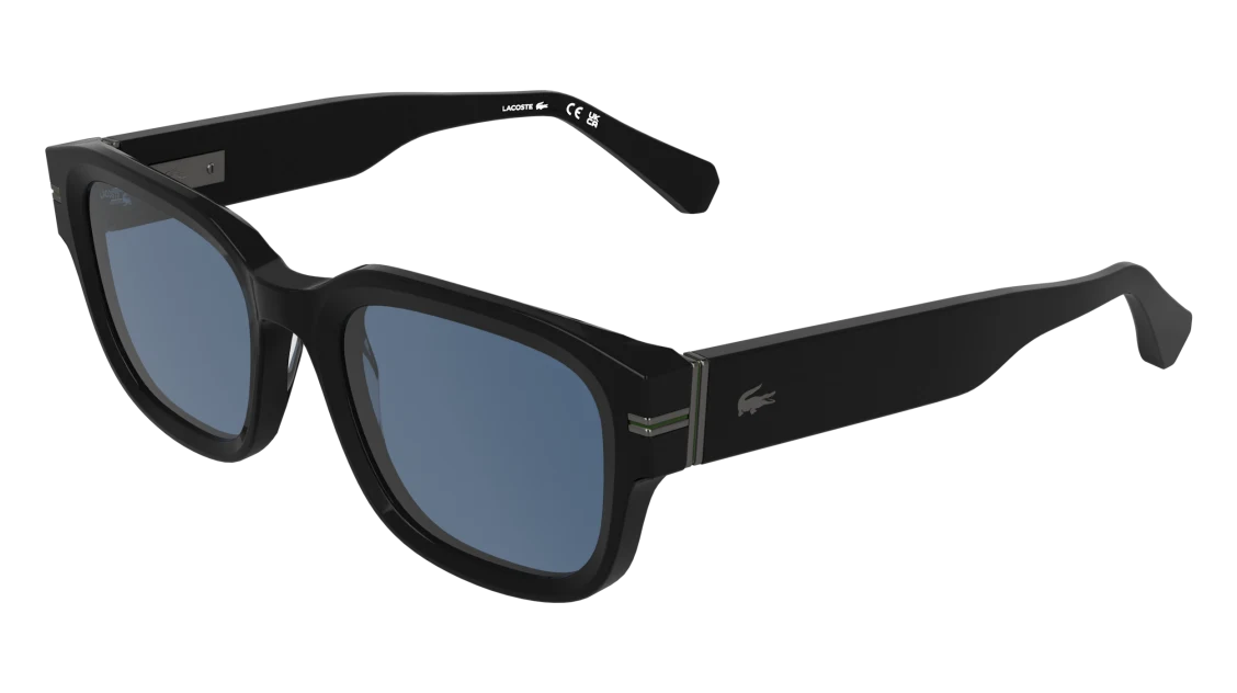 L6093S