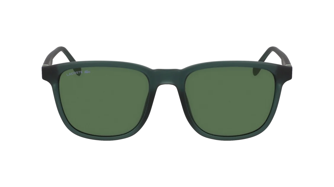 L6029S