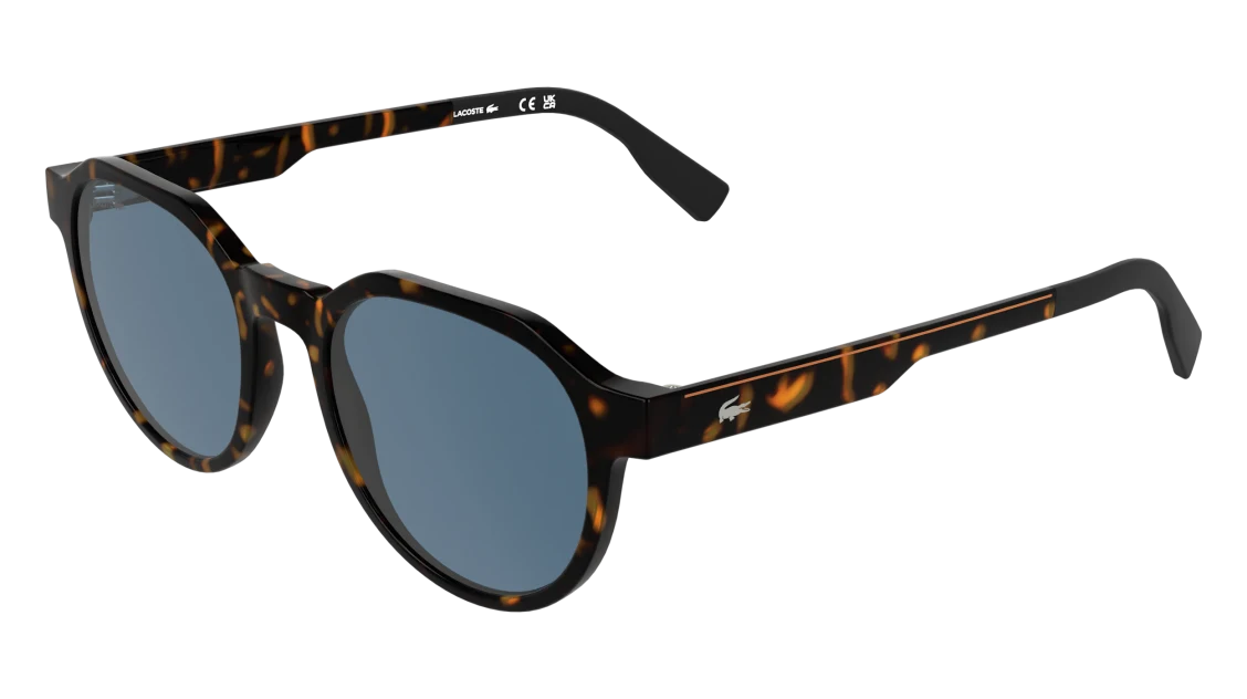 L6087S