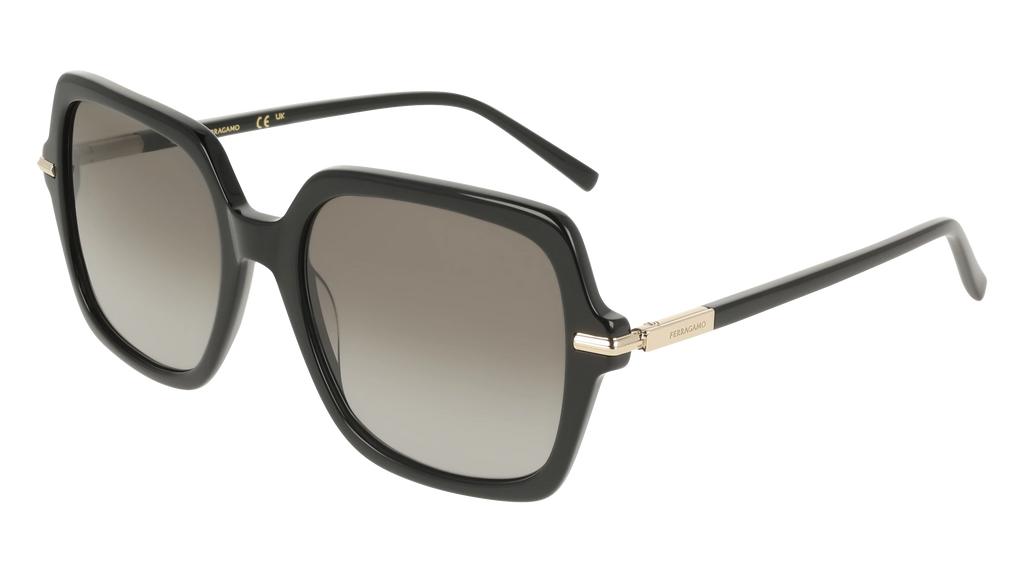 SALVATORE FERRAGAMO TA417620 7EEE 黒 FERRAGAMO SF2076S Sunglasses | Select Eyewear