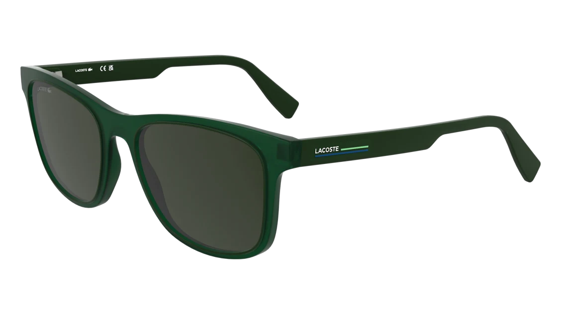 L6054S