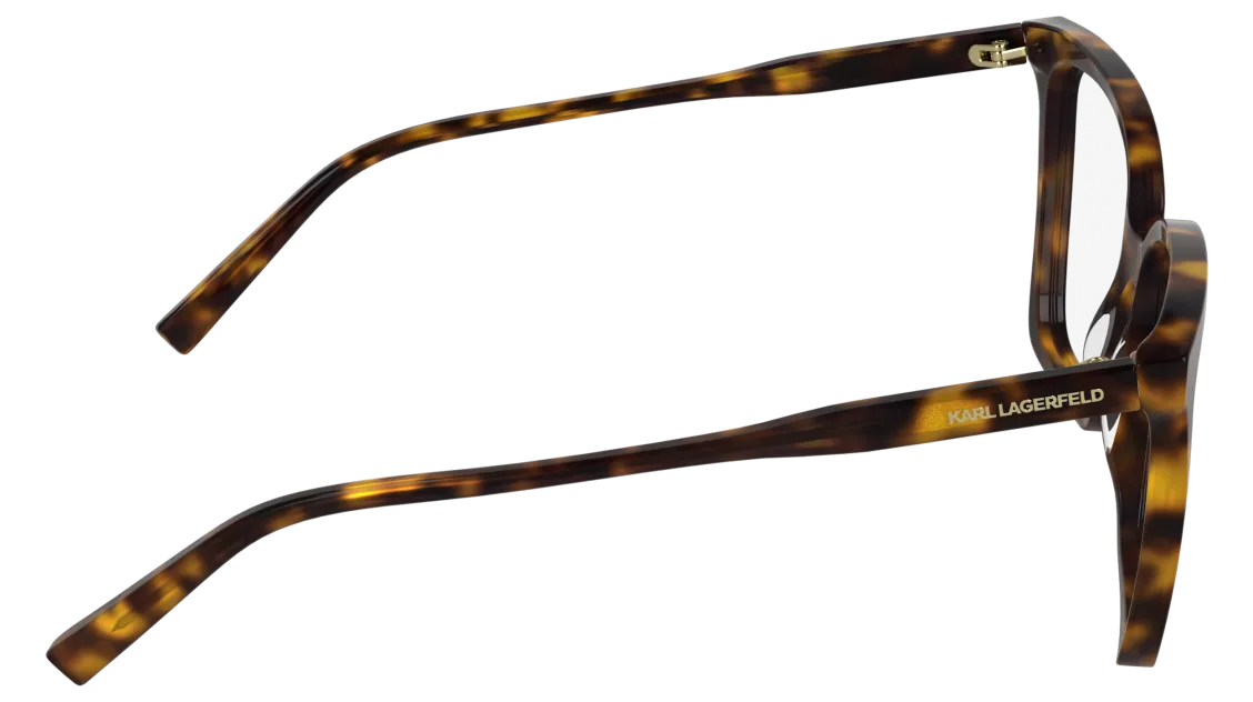 KL6231