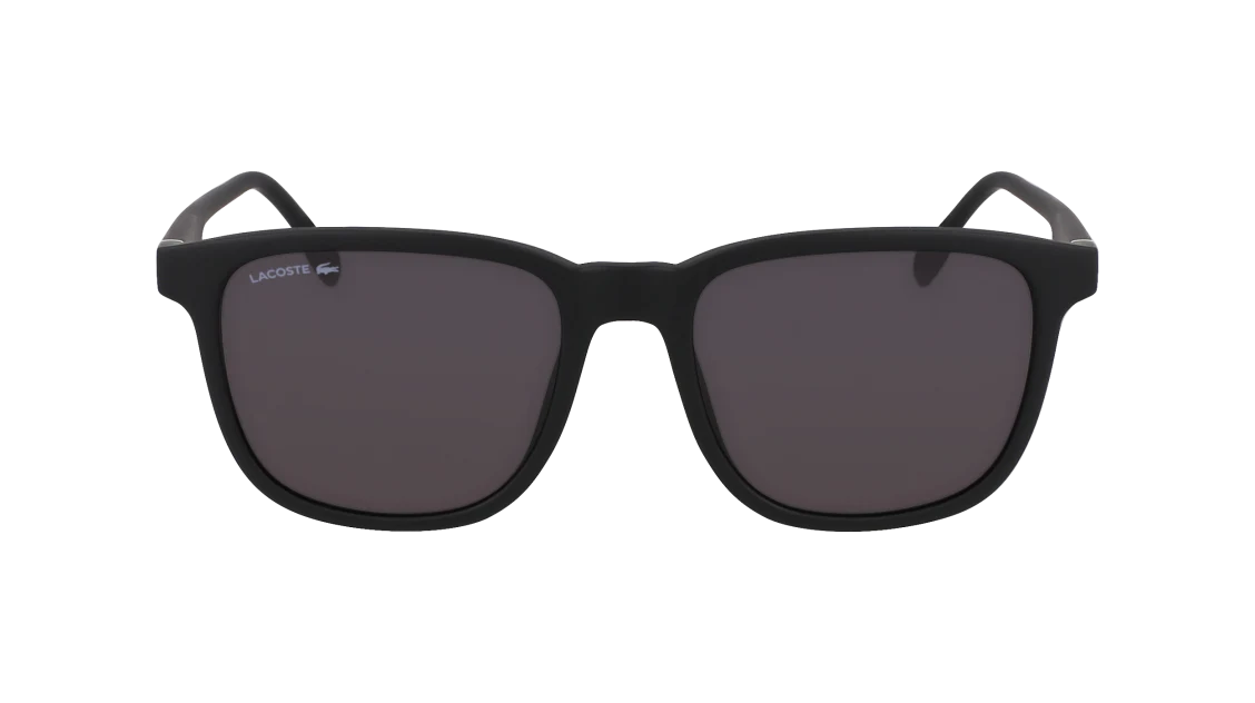 L6029S