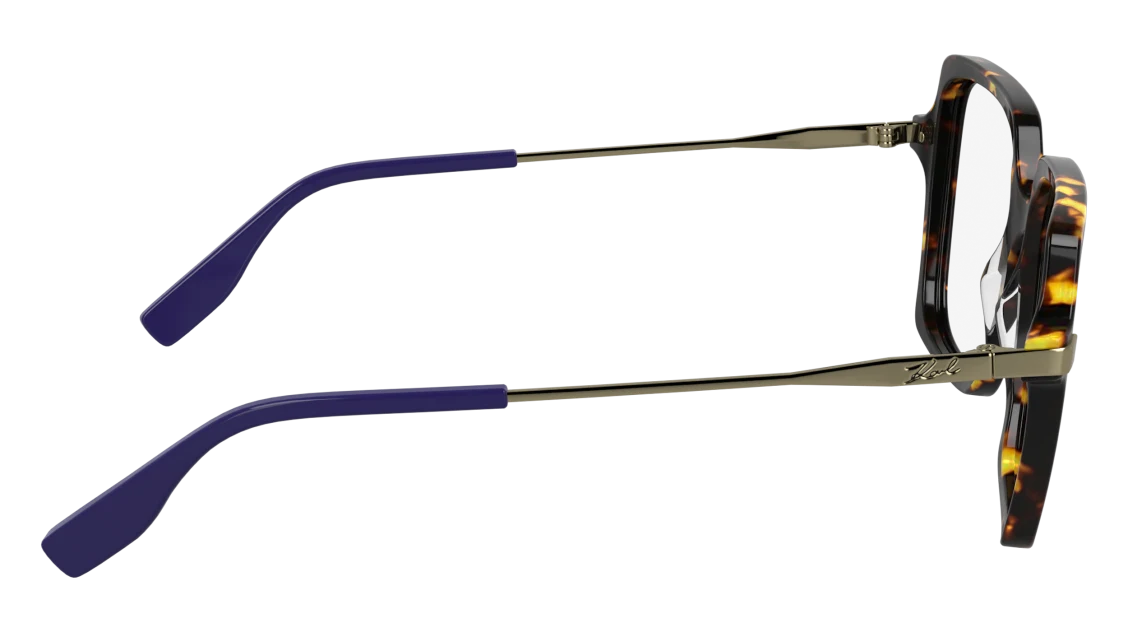 KL6172 N