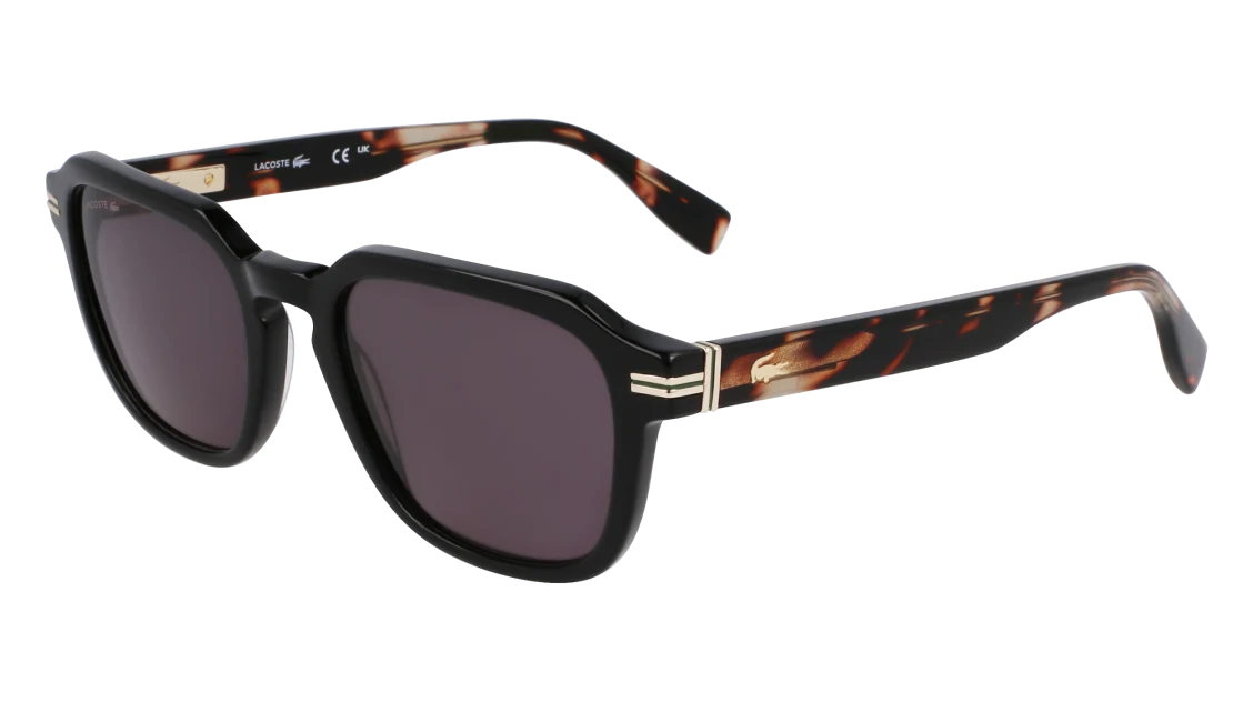 L6046S N