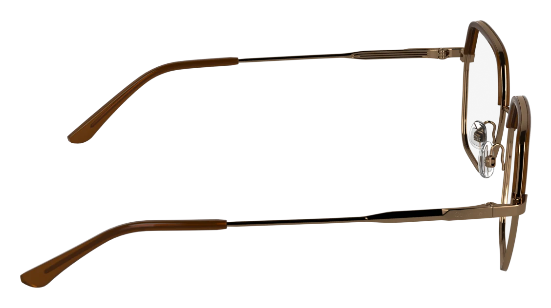 CK25113