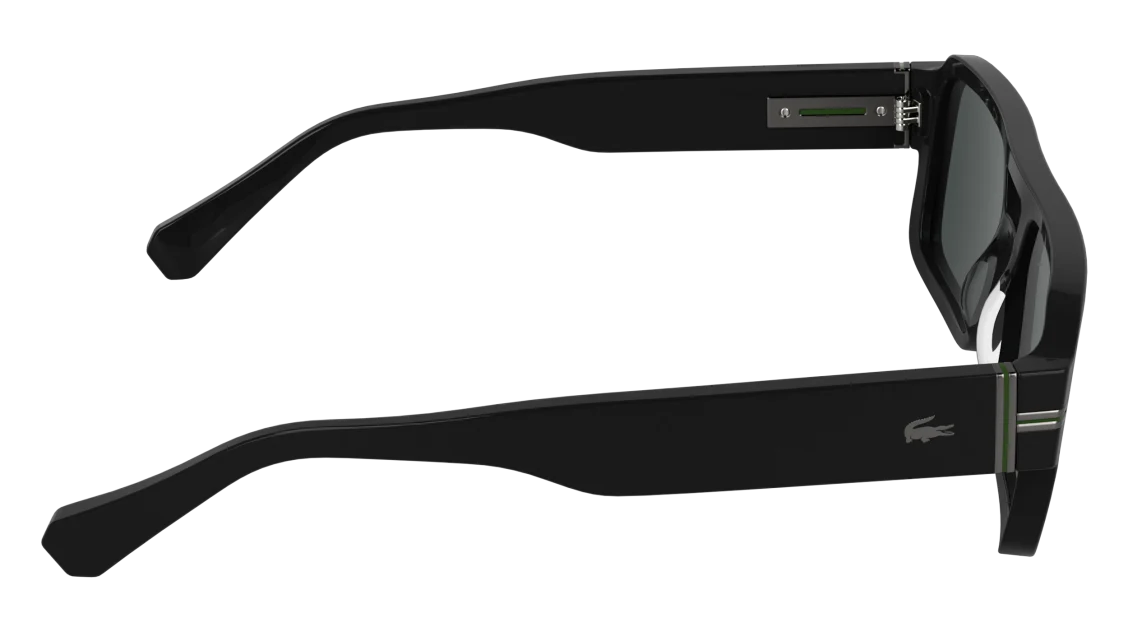 L6102S